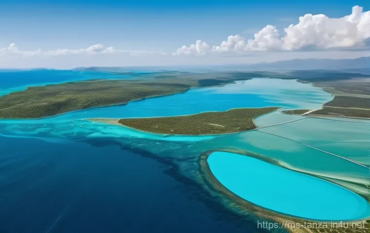 탄자니아와 한국 교류 역사 - **Prompt 1: Economic Partnership and Infrastructure Development**
"A vibrant, wide-angle shot de... 탄자니아와 한국 교류 역사 - **Prompt 1: Economic Partnership and Infrastructure Development**
"A vibrant, wide-angle shot de...